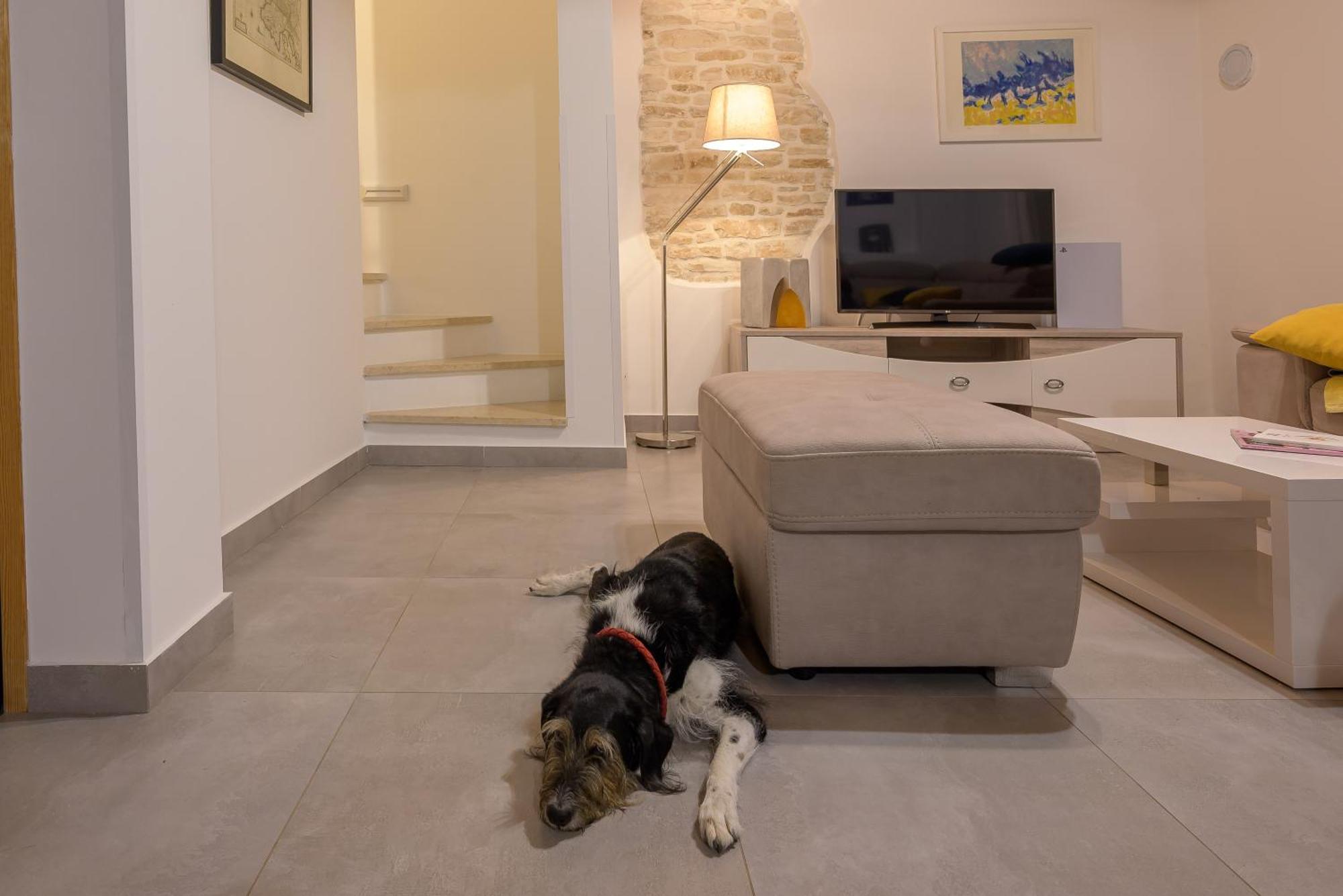 Villa Azinetti Štokovci 외부 사진